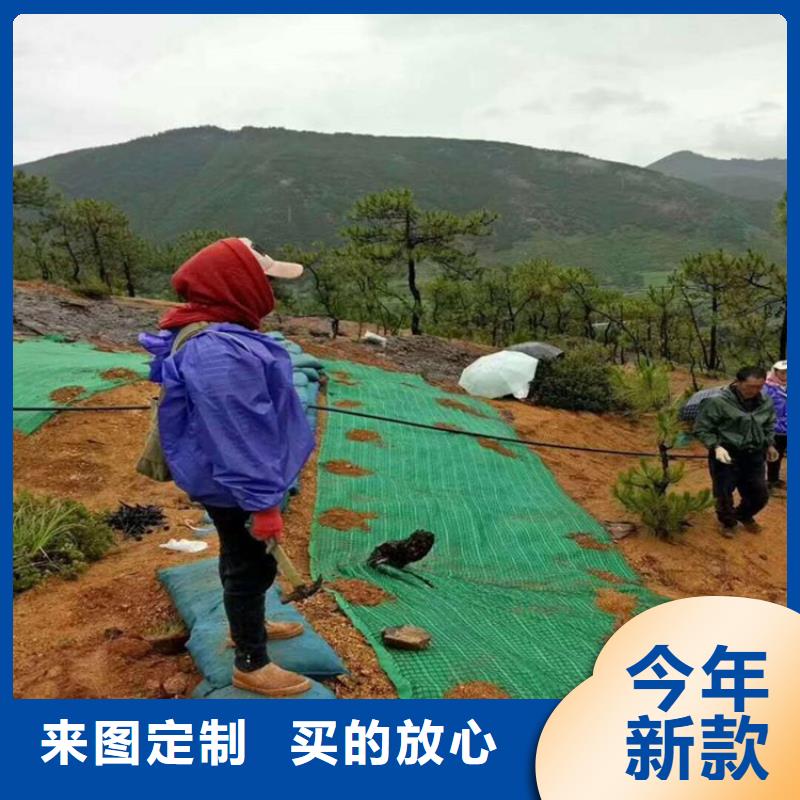 椰丝毯,止水带厂家直销大量现货