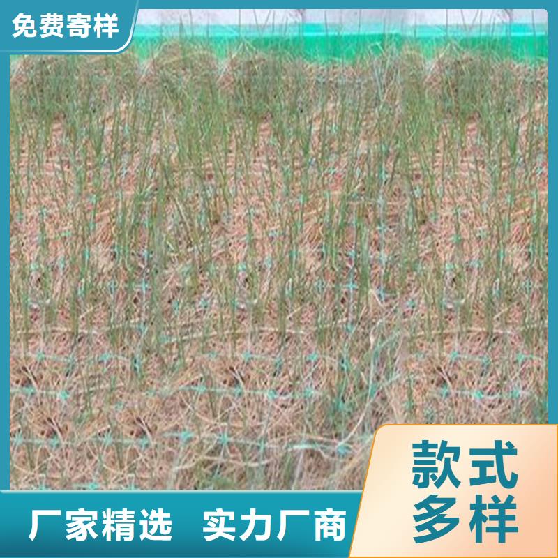 【椰丝毯抗裂贴精益求精】