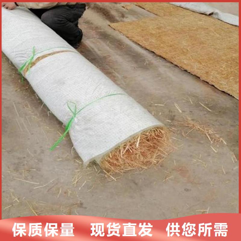 椰丝毯三维植被网甄选好厂家