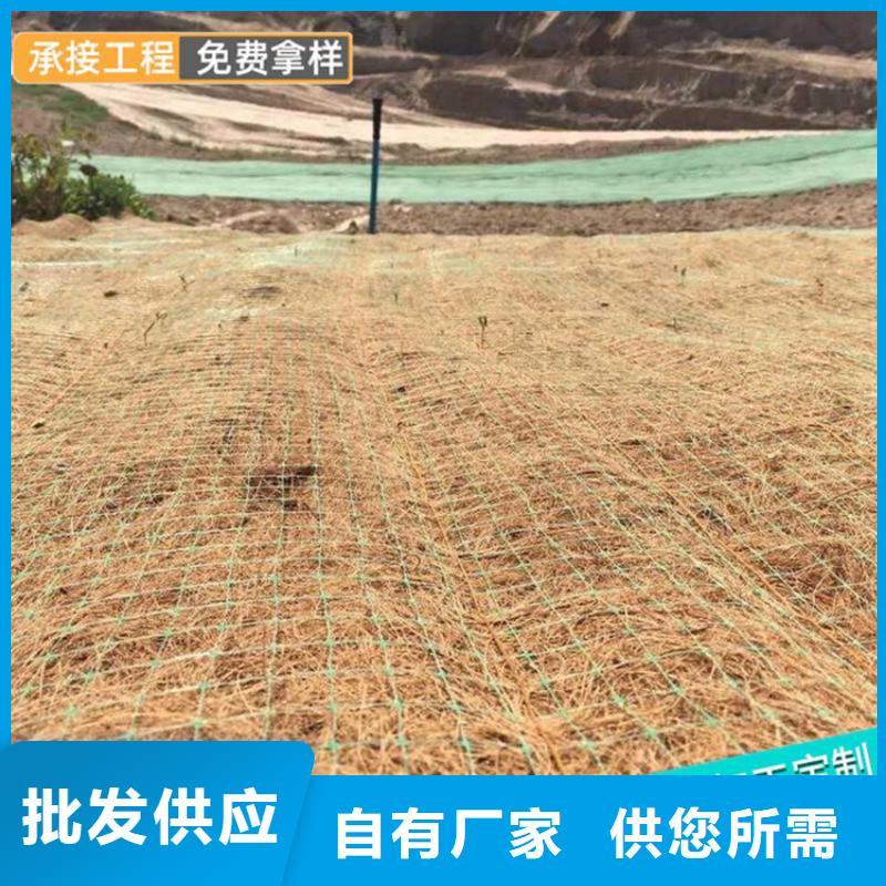 椰丝毯土工膜批发供应