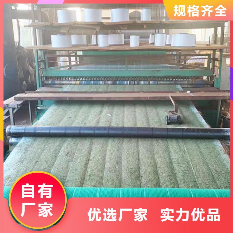 椰丝毯【塑料土工格栅】产品实拍