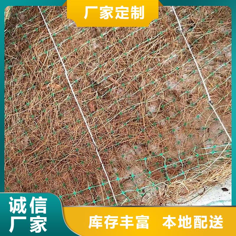 椰丝毯三维植被网甄选好厂家