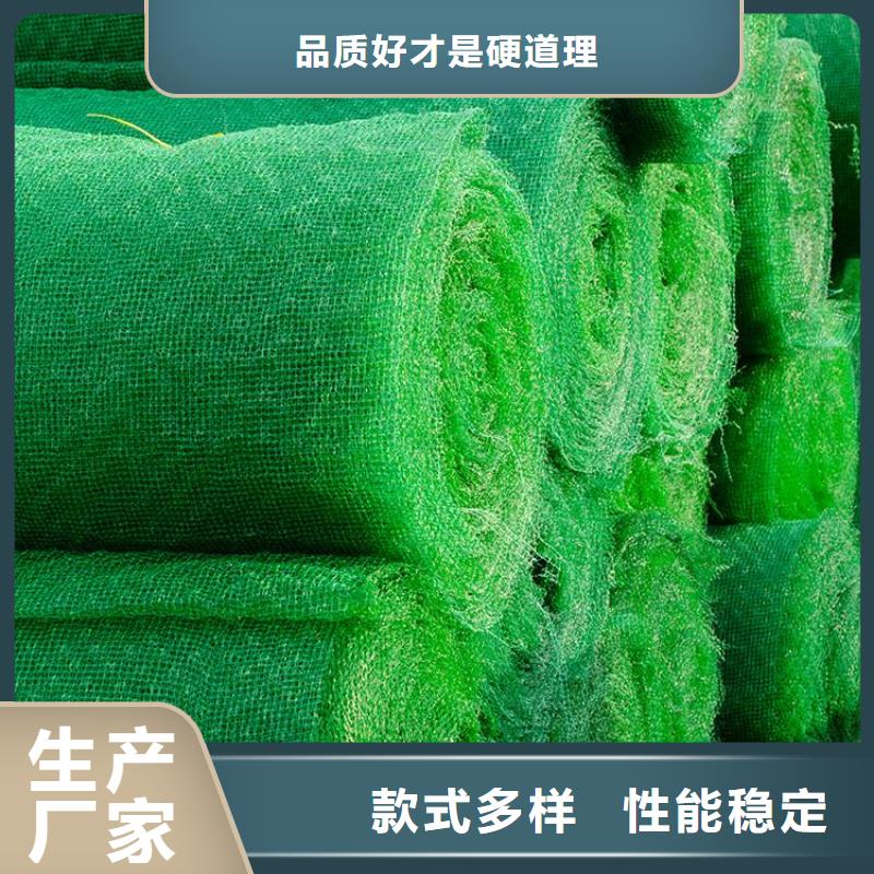 三维植被网双向塑料土工格栅型号齐全