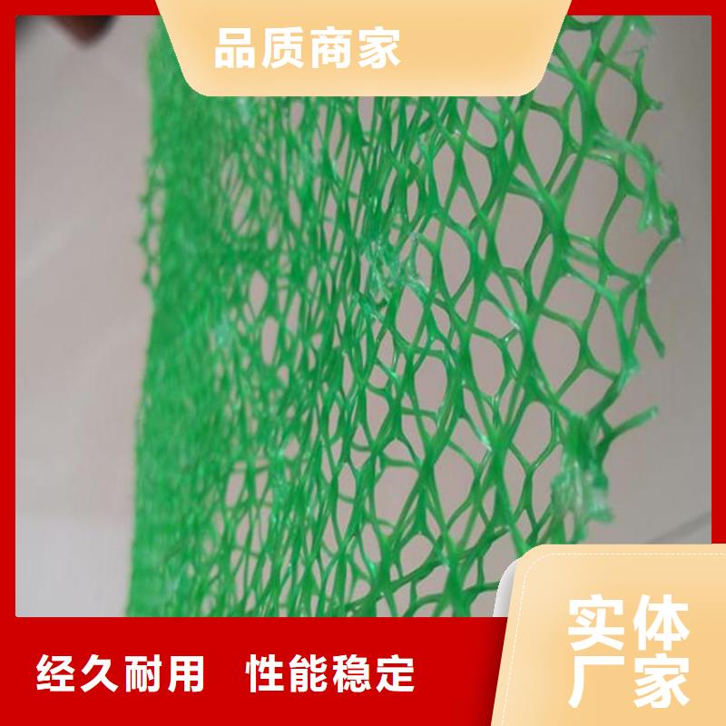 三维植被网钢塑土工格栅批发货源