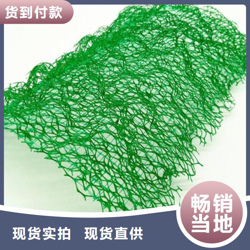 三维植被网土工格室追求品质