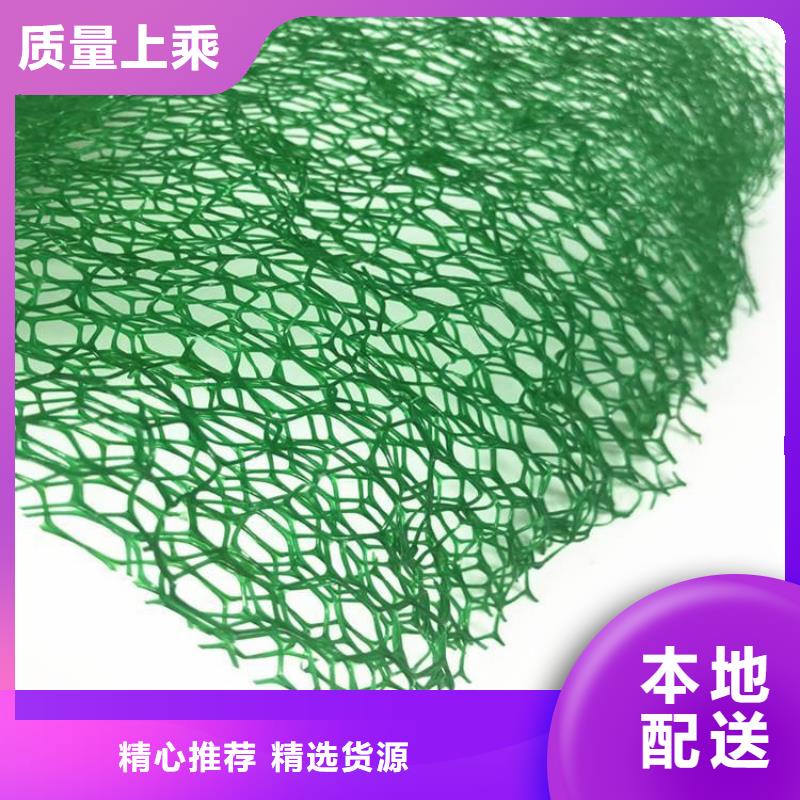 三维植被网_膨润土防水毯实力厂家