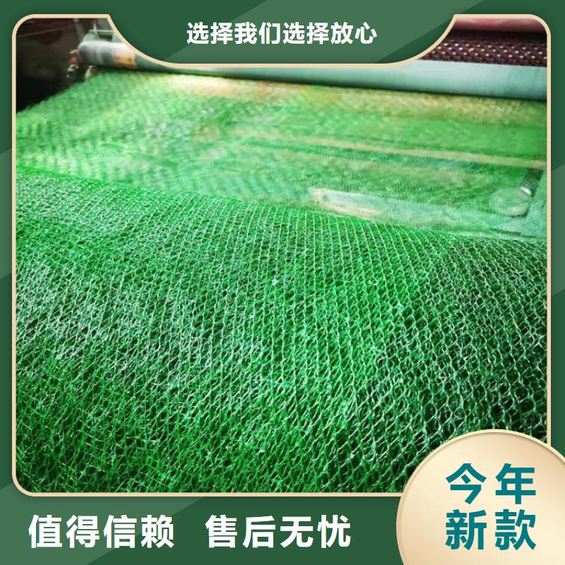 【三维植被网】,土工膜匠心打造