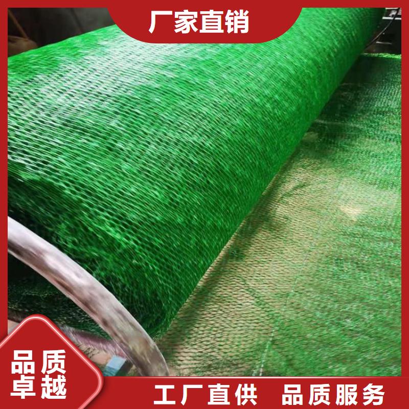 三维植被网,【土工格室】品质保证实力见证