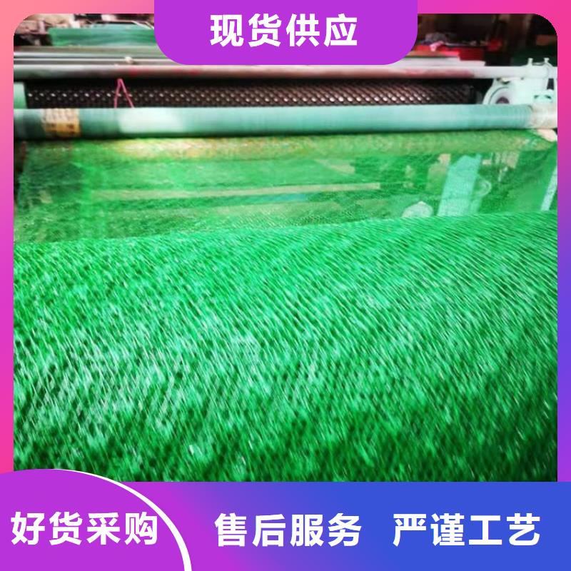 三维植被网_膨润土防水毯实力厂家