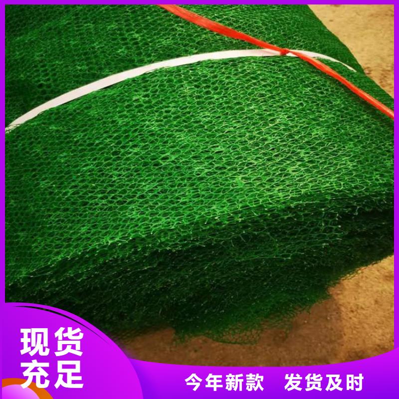 【三维植被网】玻璃纤维土工格栅信誉有保证