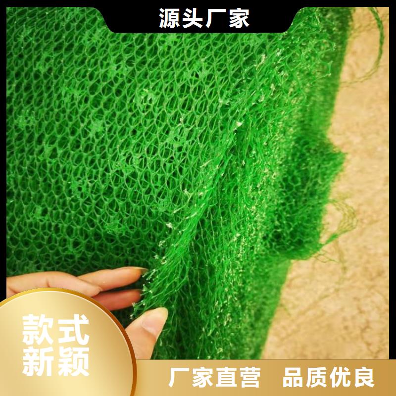 三维植被网双向塑料土工格栅型号齐全