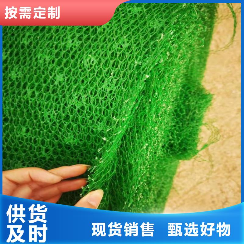 三维植被网双向塑料土工格栅型号齐全