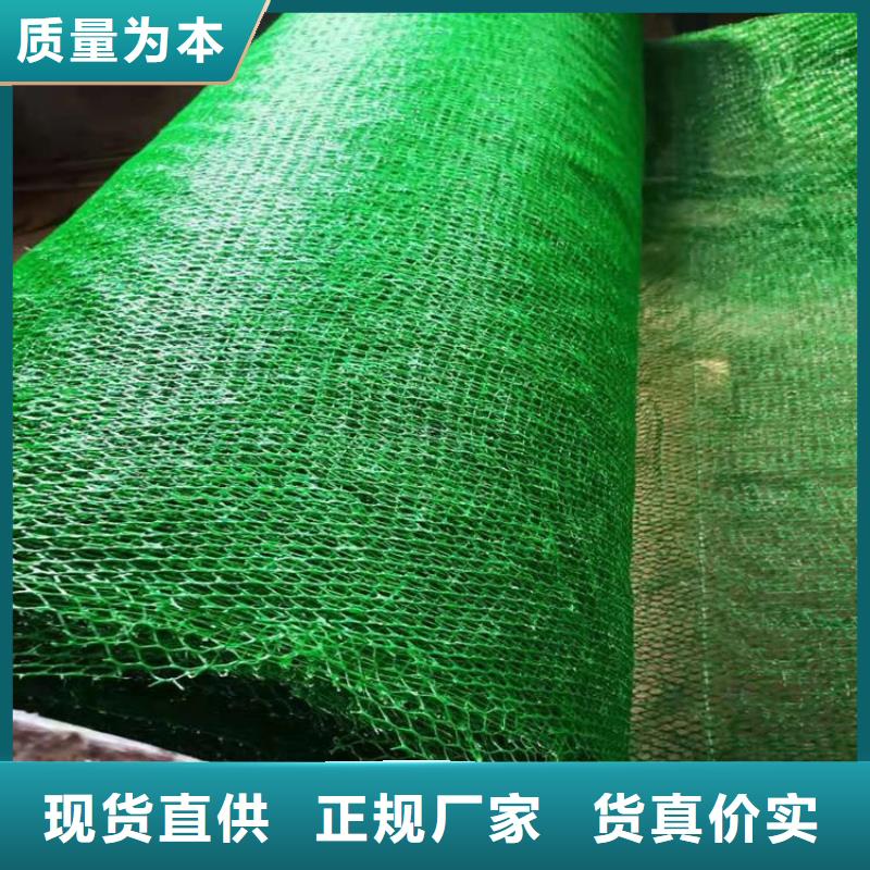 三维植被网【防裂贴】有口皆碑