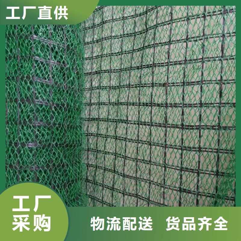 三维植被网-【土工布】货源直供