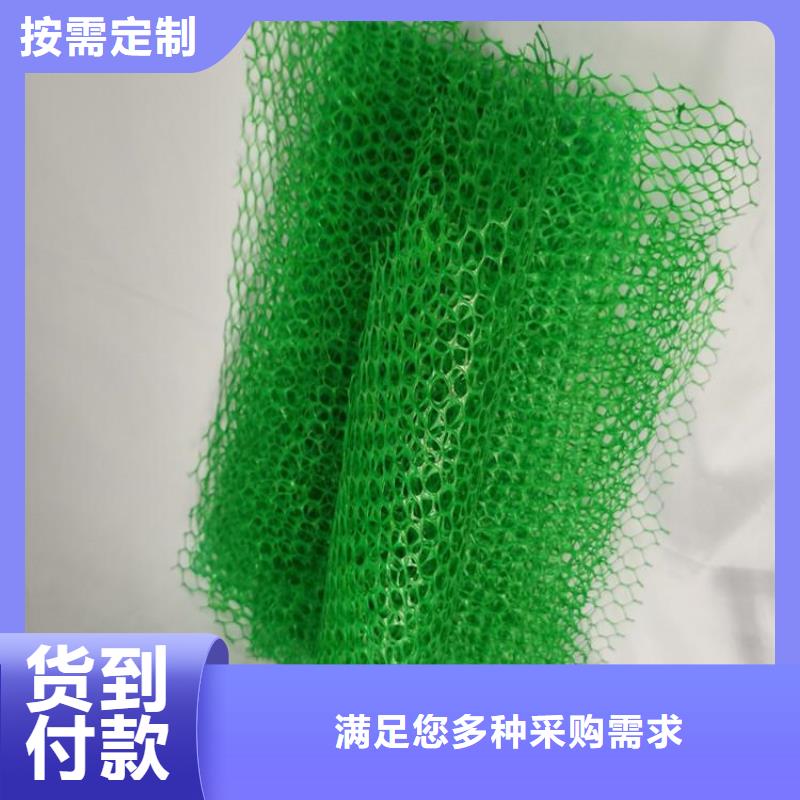 三维植被网_膨润土防水毯实力厂家