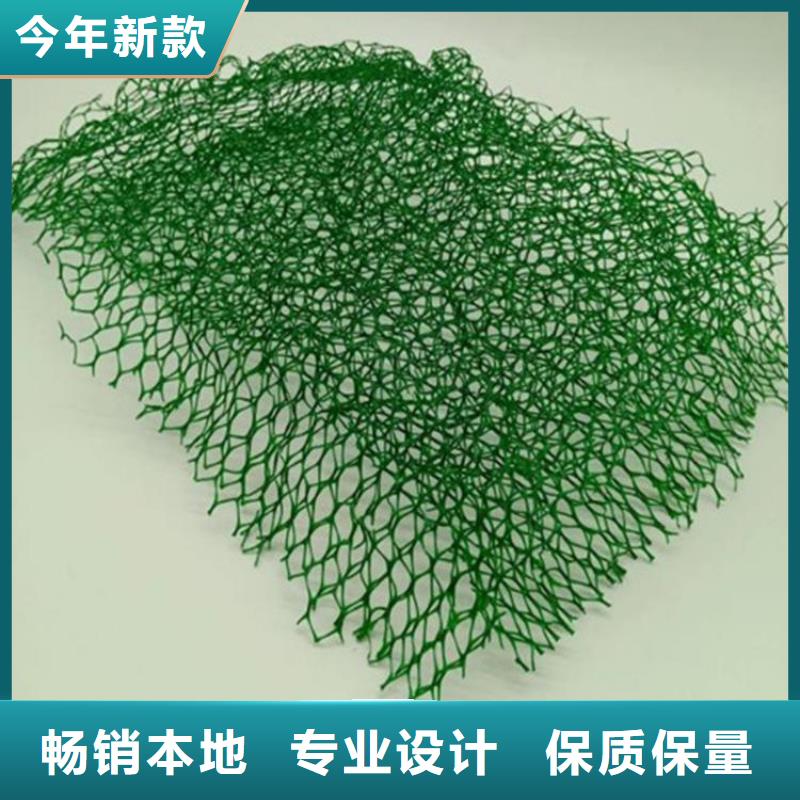 三维植被网_膨润土防水毯实力厂家