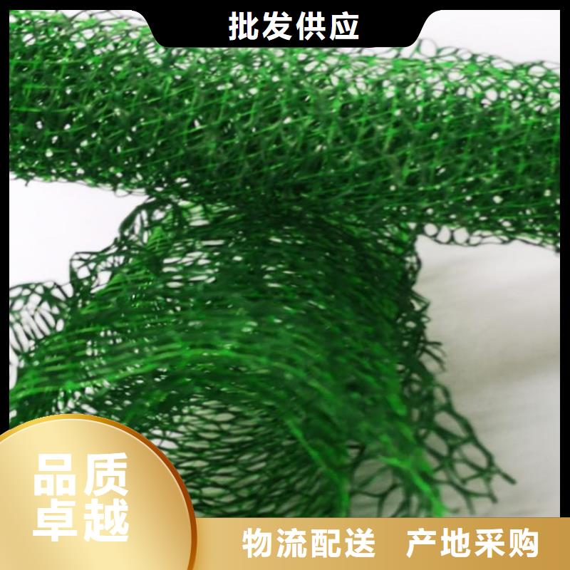 【三维植被网土工格栅品质优选】