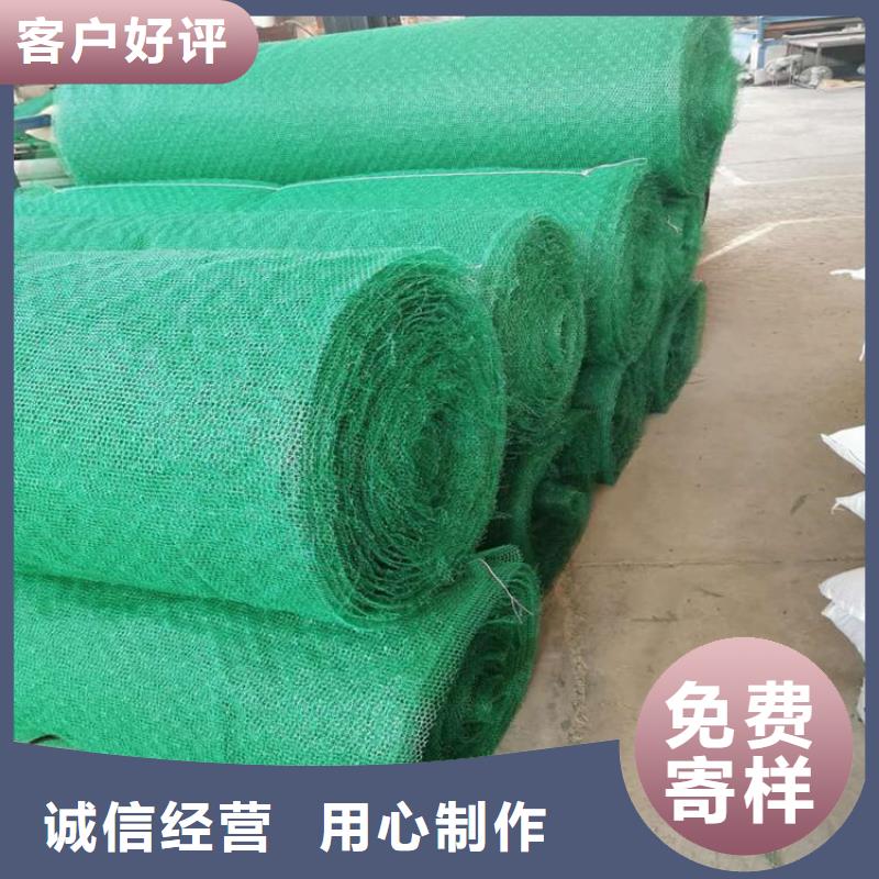 三维植被网_膨润土防水毯实力厂家