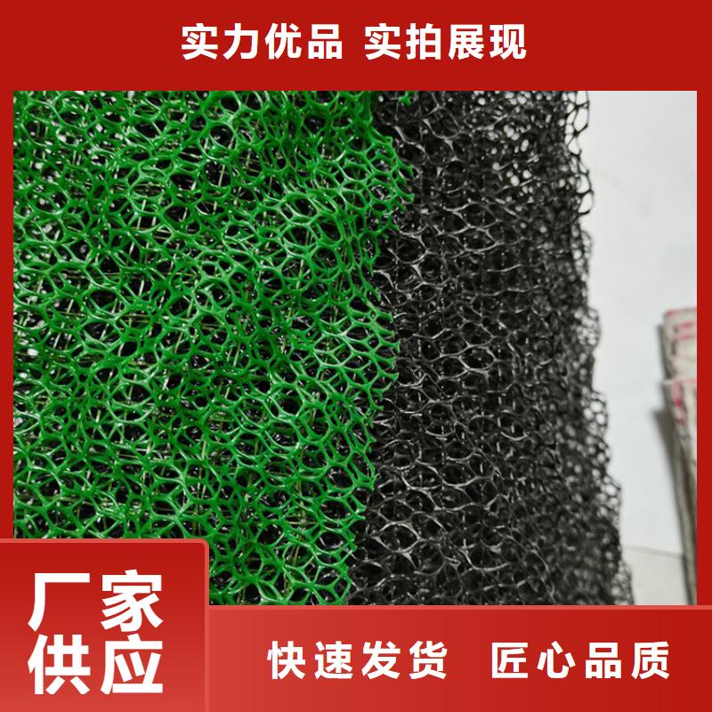 三维植被网,双向塑料土工格栅专注细节专注品质