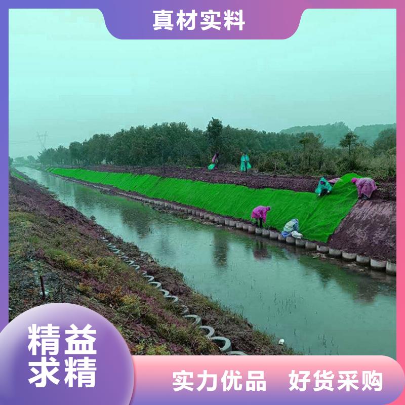 三维植被网-波纹管精心选材