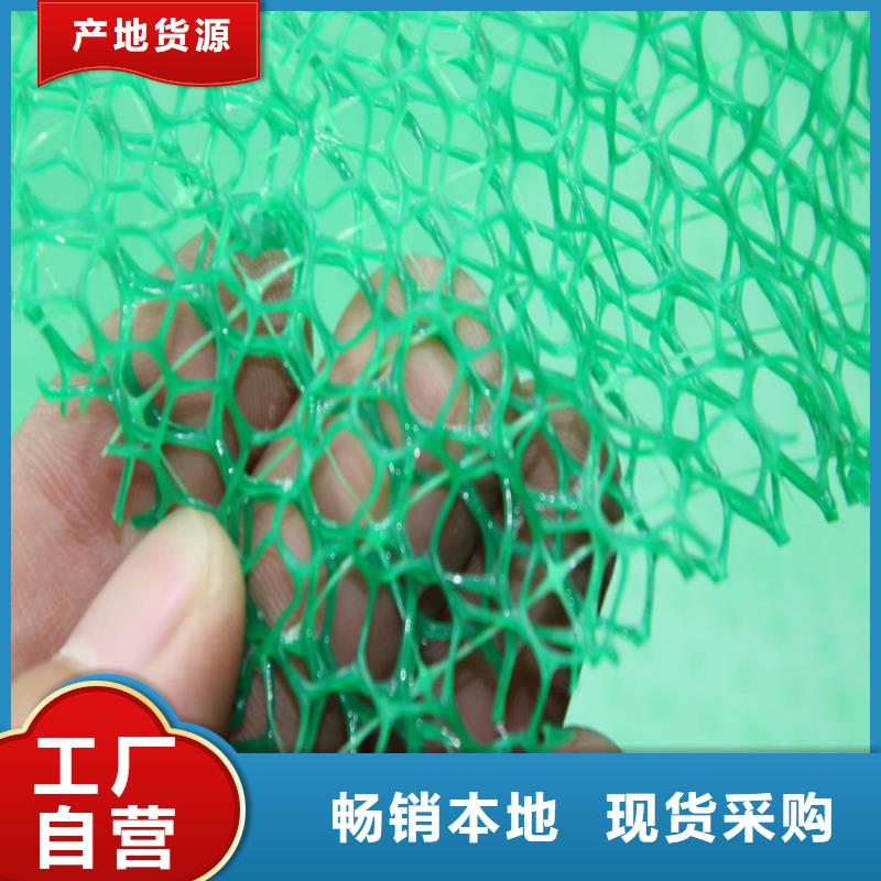 三维植被网玻纤格栅价格实惠工厂直供