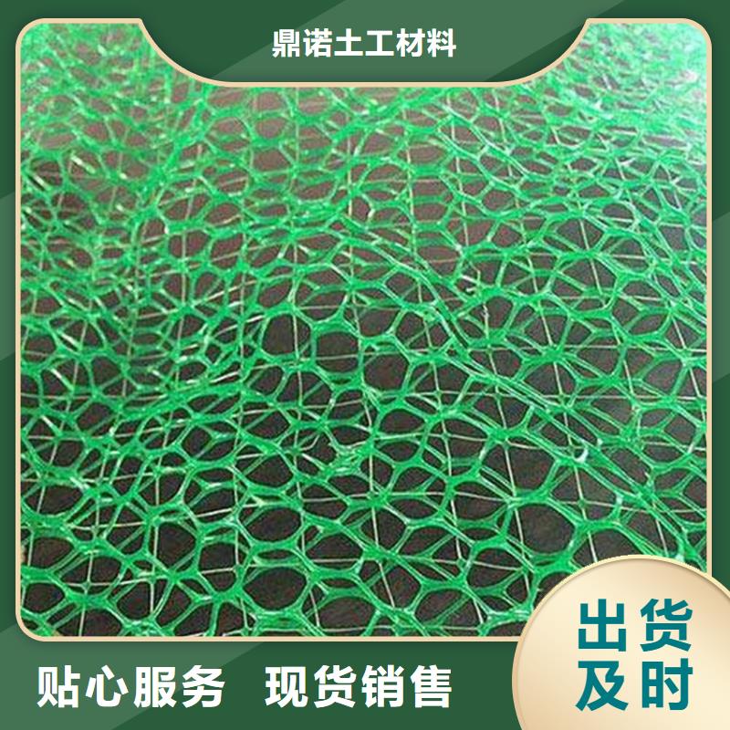 三维植被网玻璃纤维土工格栅自产自销