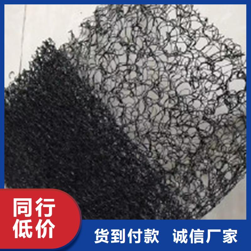 通风降噪丝网_土工网垫实力大厂家