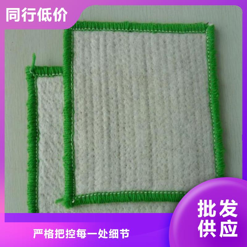 膨润土防水毯蓄水板支持非标定制