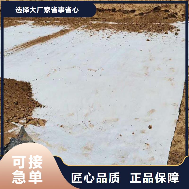 【膨润土防水毯】钢塑土工格栅规格型号全