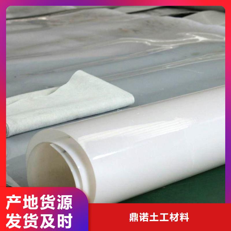 防水板,土工网垫服务至上