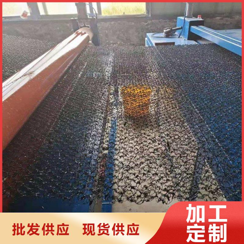 水土保护毯塑料土工格栅专注细节更放心