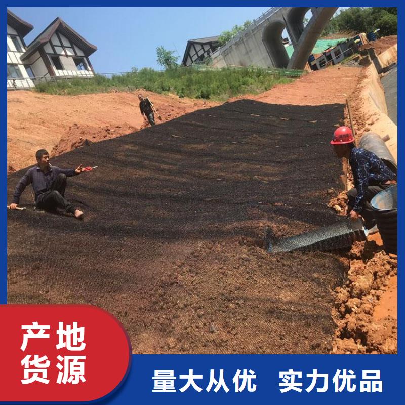 水土保护毯土工格栅出厂价