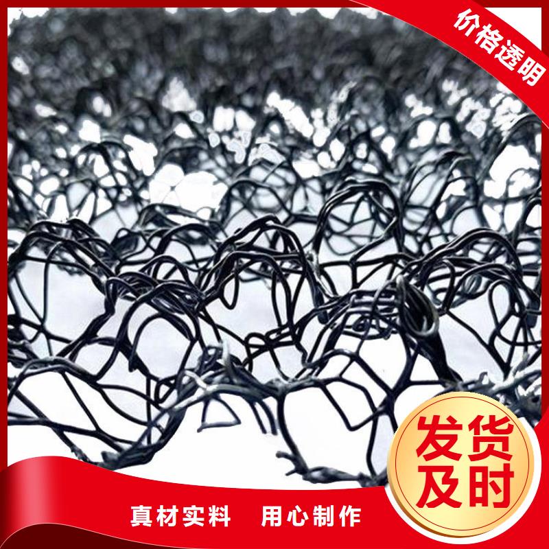 水土保护毯_土工网垫做工精细
