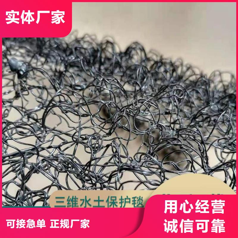 水土保护毯钢塑格栅应用范围广泛