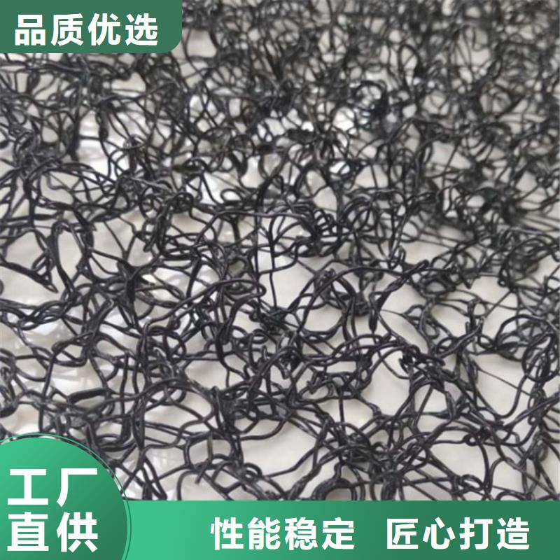 水土保护毯塑料土工格栅真材实料加工定制