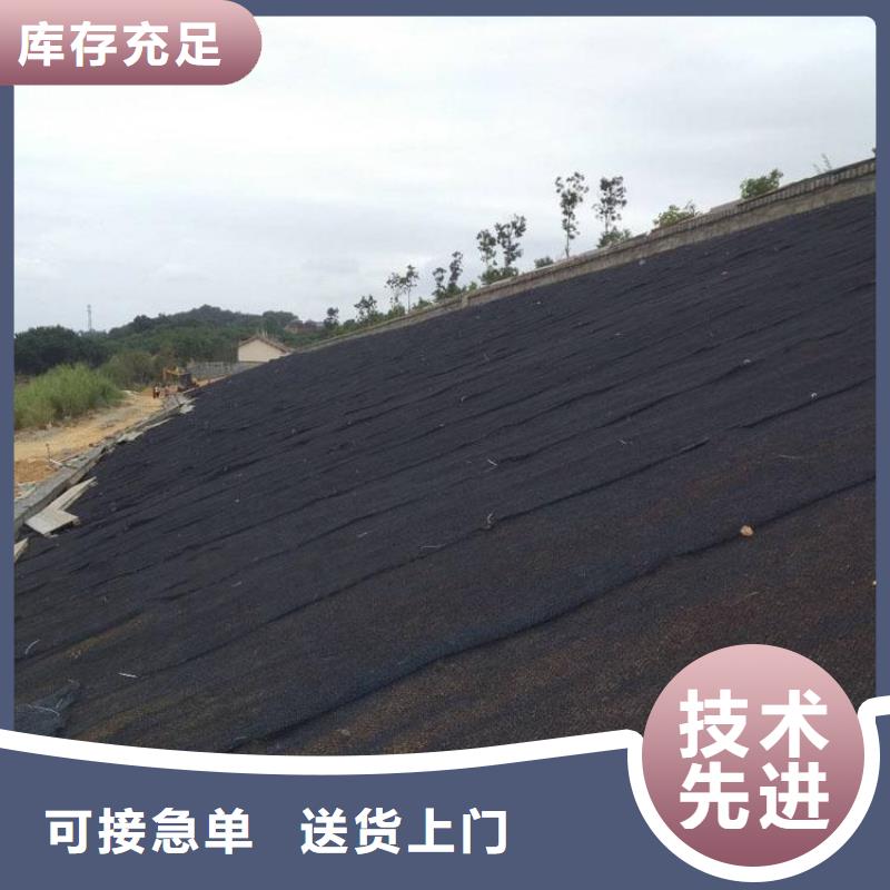 水土保护毯【玻璃纤维土工格栅】货源充足