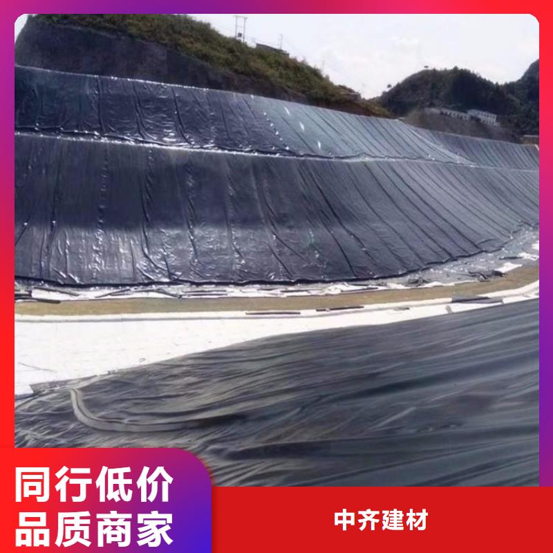 土工膜,聚酯玻纤布品质优选