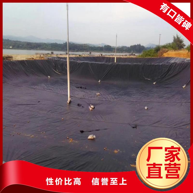 土工膜-橡胶支座大厂家实力看得见