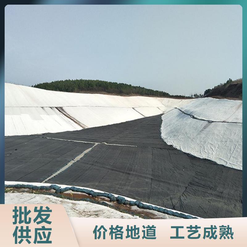 【土工膜塑料盲沟大品牌值得信赖】