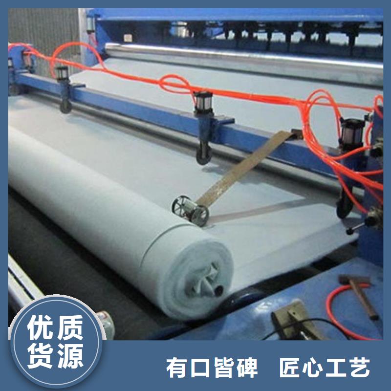 土工布玻璃纤维土工格栅高质量高信誉