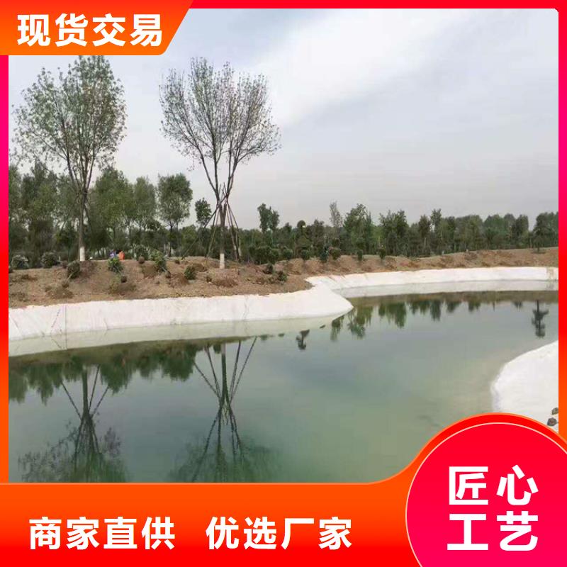 【土工布拉筋带产地批发】