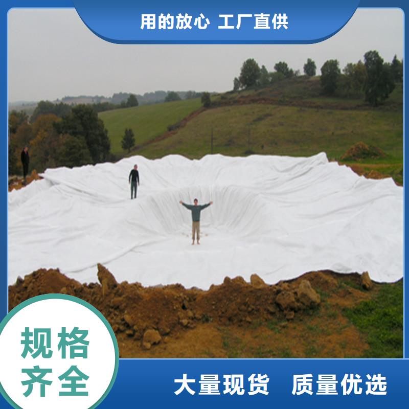 土工布-网格布实力优品