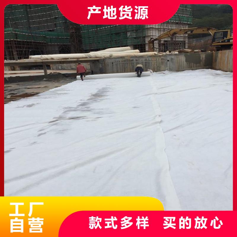 土工布玻璃纤维土工格栅厂家直销货源充足