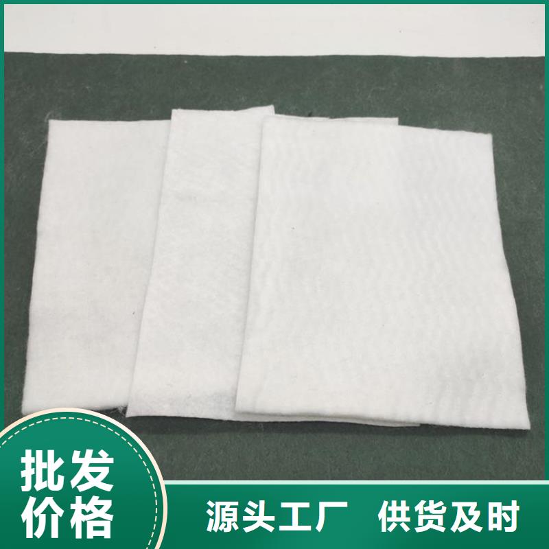 土工布双向塑料土工格栅根据要求定制