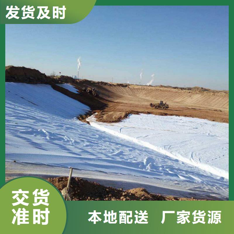 土工布双向塑料土工格栅根据要求定制