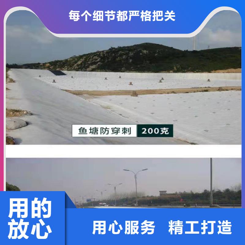 土工布【钢塑土工格栅】免费寄样