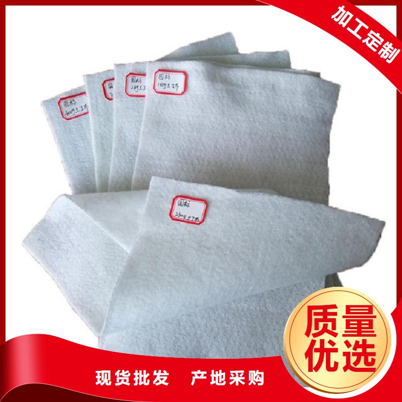土工布玻璃纤维土工格栅高质量高信誉