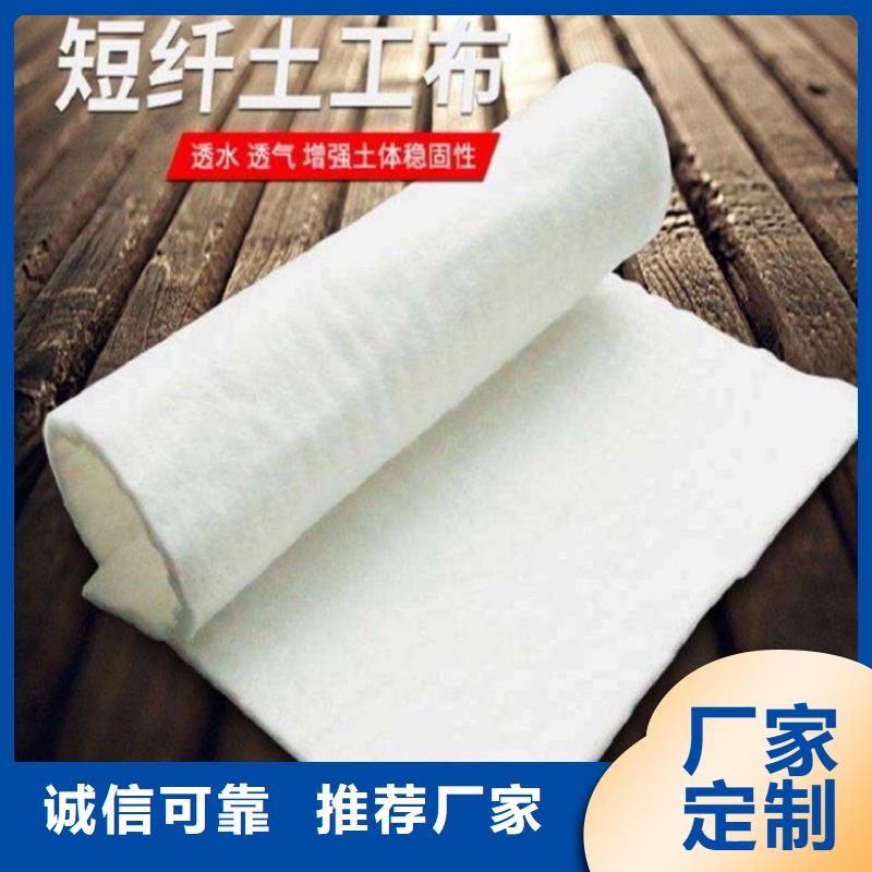 土工布玻璃纤维土工格栅高质量高信誉