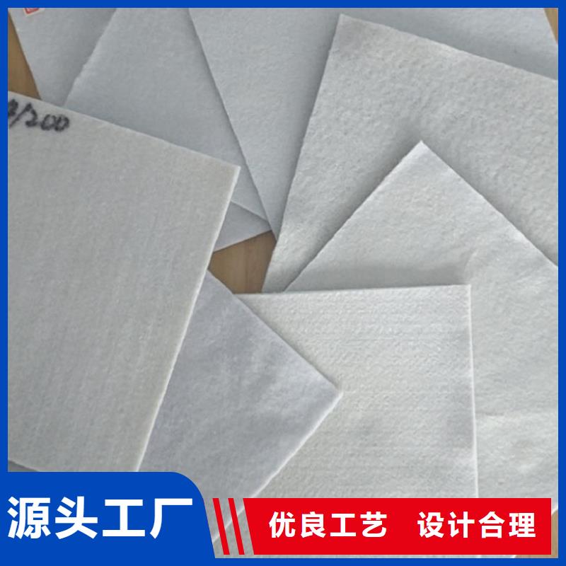 土工布玻璃纤维土工格栅高质量高信誉