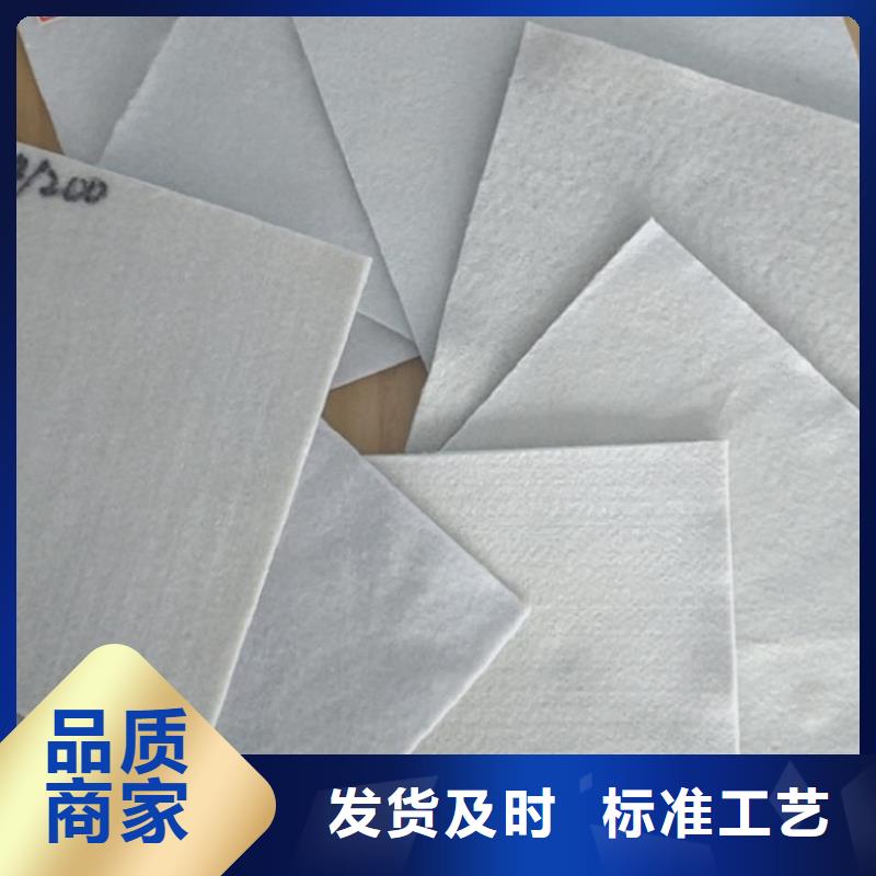 土工布三维植被网N年专注